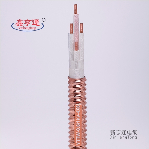YTTW-0.6/1KV-4X6