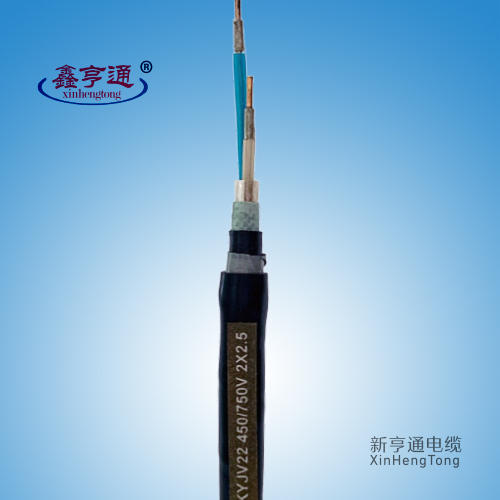 塑料绝缘控制电缆DDZN-KYJV22 450/750V 2x2.5