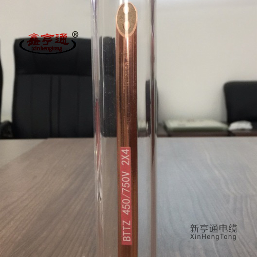 BTTZ 450/750V 2X4mm2