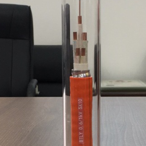 BTLY 0.6/1kV 5x10mm2