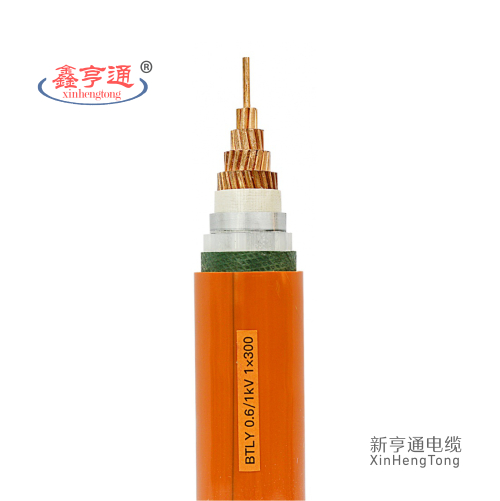 BTLY 0.6/1kV 1x300mm2