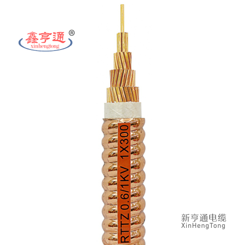 RTTZ 0.6/1kV 1X300mm2
